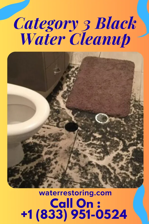 Category 3 Black Water Cleanup in Charleston, WV