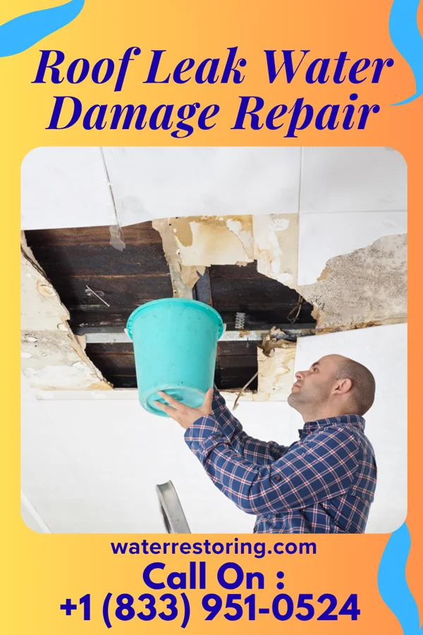 Roof Leak Water Damage Repair in Charleston, WV